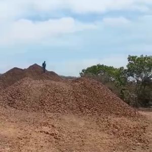 Screenshot_20220907-120617_WhatsApp